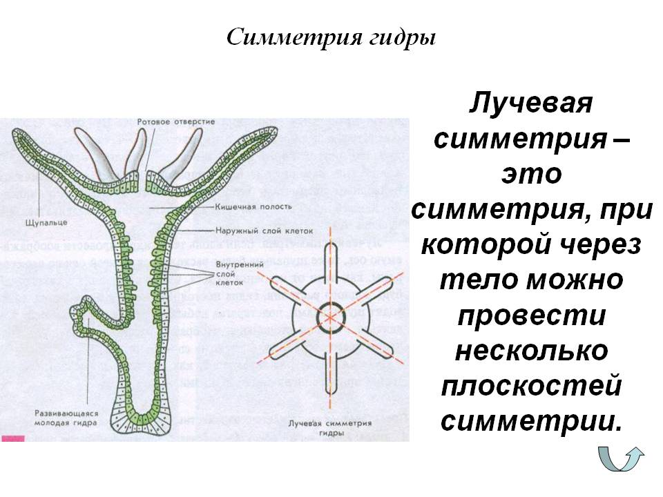 Кракен даркнет поддержка