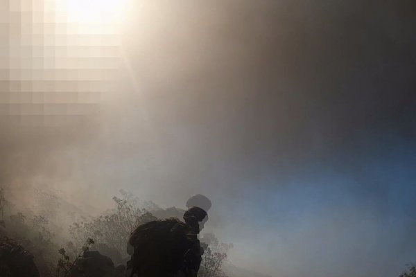 Как восстановить кракен
