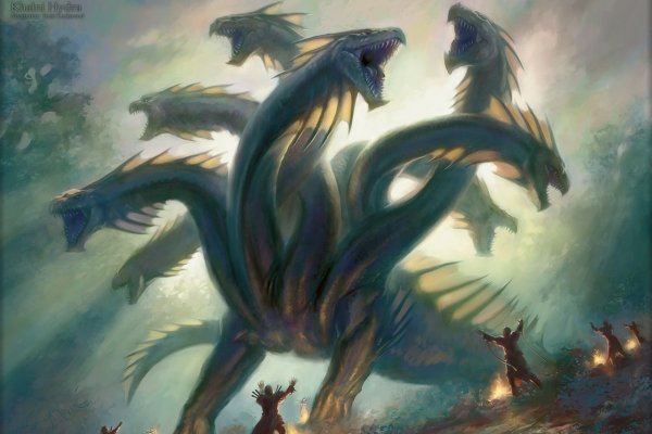 Kraken рабочий