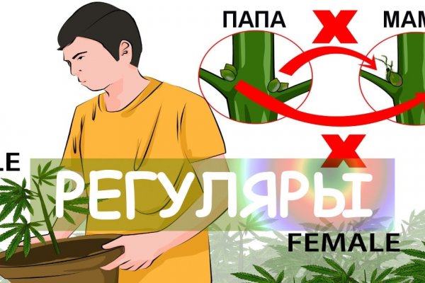 Kraken маркетплейс официальный