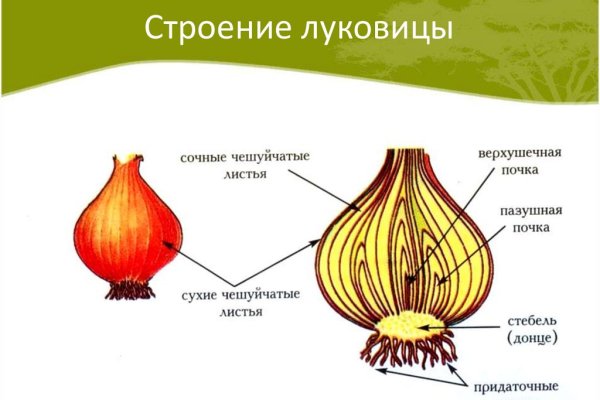 Актуальные ссылки на кракен тор