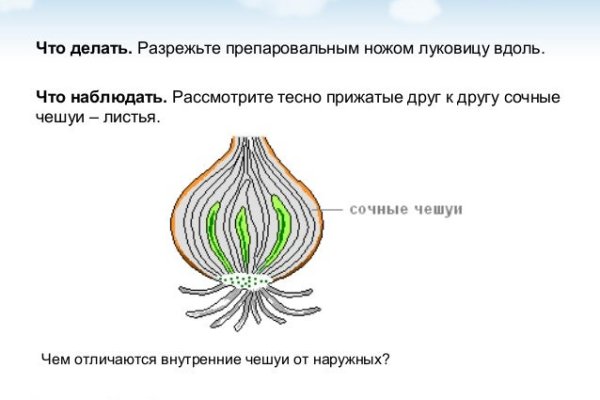 Kraken адрес