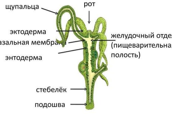 Кракен закладки
