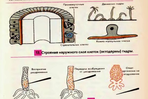 Через какой браузер можно зайти на кракен