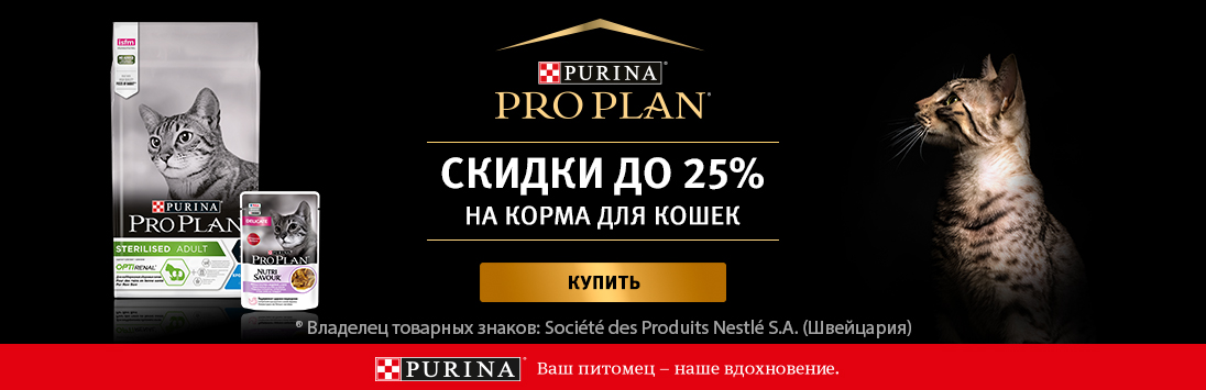 Как войти в кракен
